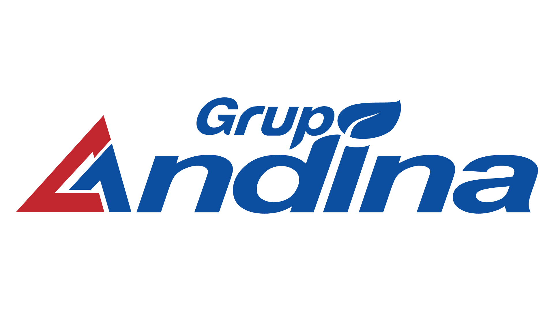 grupo-andina.webp